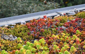 the cost of East Gores green roof installation