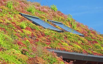 East Gores living roof systems